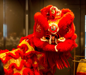 CHINESE NEW YEAR THEMED ENTERTAINMENT - LION DANCE PERFORMERS
